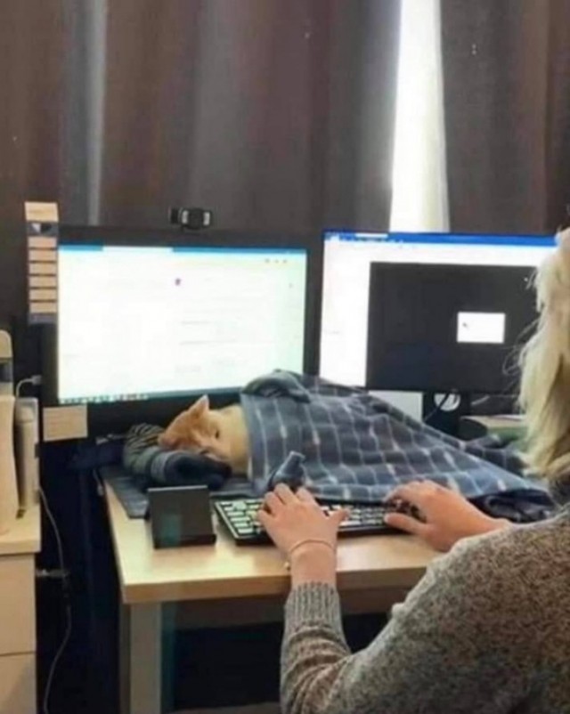 Когда делаешь вид, что работаешь за компьютером