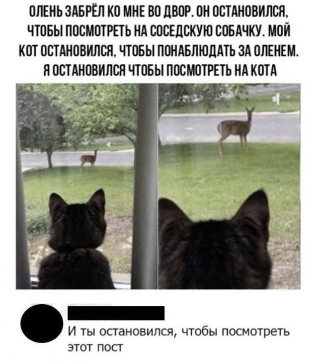 Картинки и мемы для настроения 30.09.2021