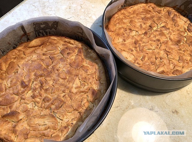 Быстро-вкусно: пирог на сметане с персиками