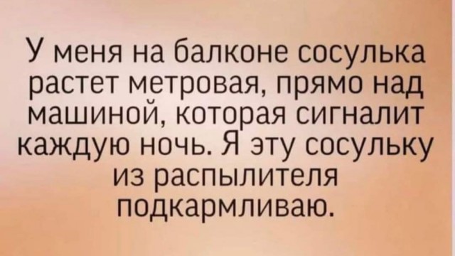 Бредзона 31.12.2021