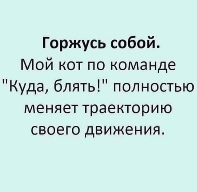 Так себе картинки 16.02.22