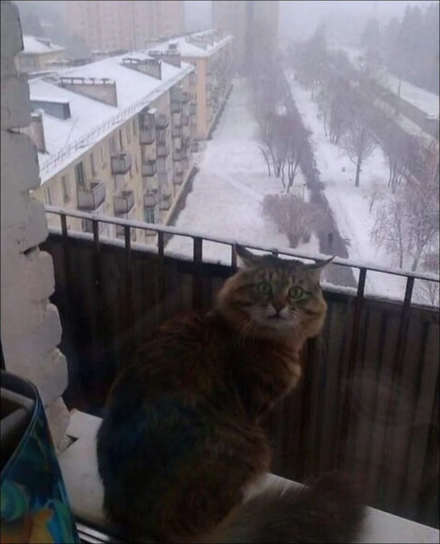 Прикольные и просто красивые картинки 14.03.2022