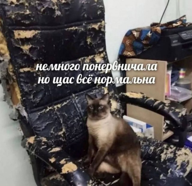 Пятничная чернуха!