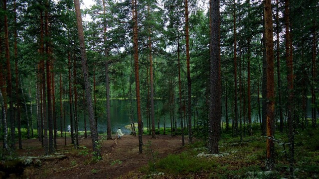 Вуокса 12.07.11
