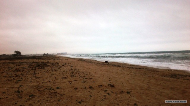 Осенний Коктебель