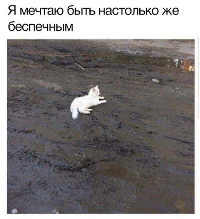 Картинки и мемы для настроения - 119