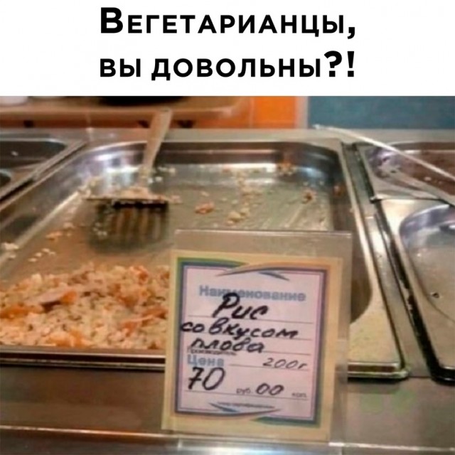 Весёлый полтишок 11.01.23