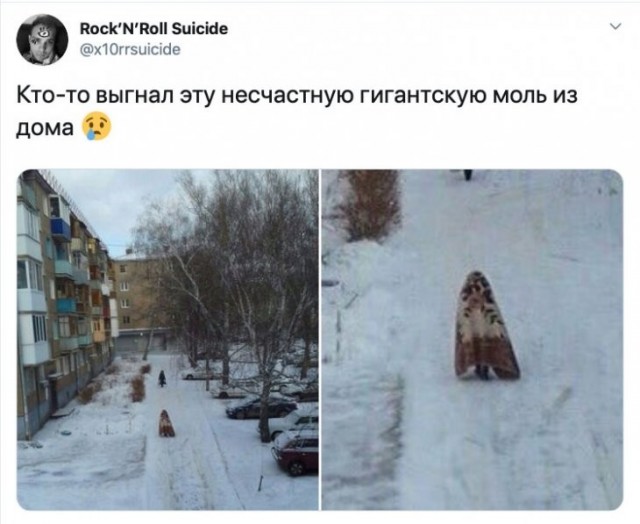 Скриншоты и комментарии из социальных сетей 12.01.23