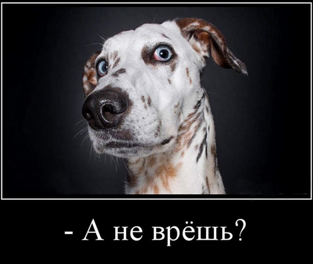 Просто фотографии