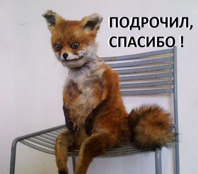 Налетай! Халявные бойаны!