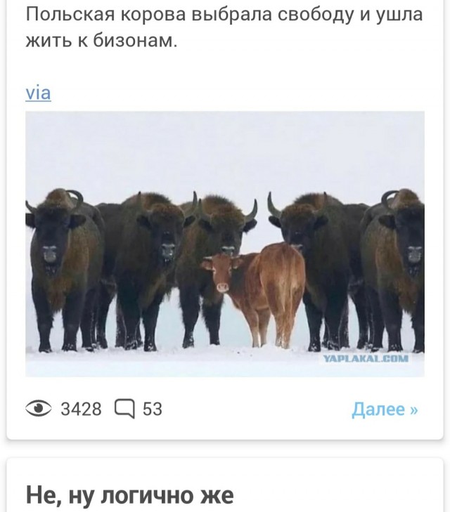 Проверка на испорченность