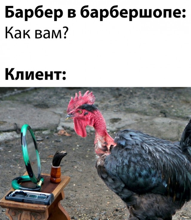 Картинки и мемы для настроения - 137