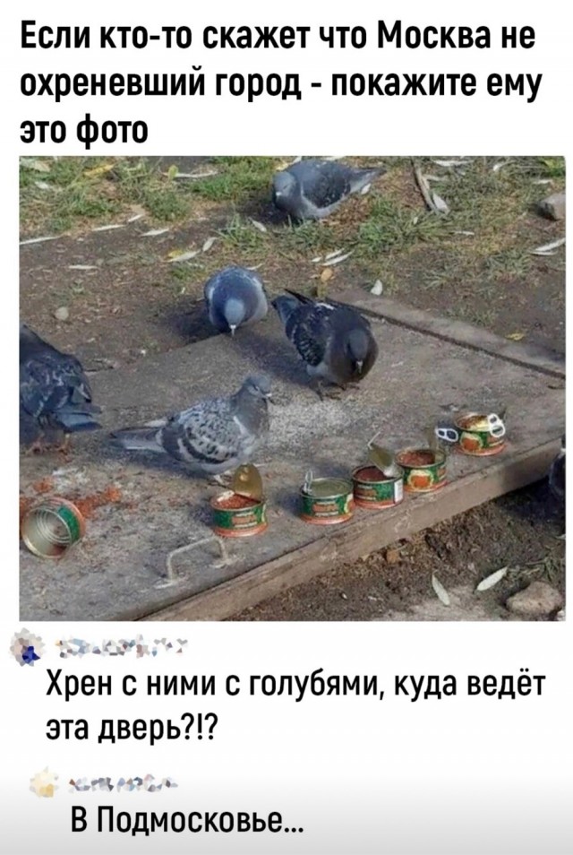 Завершаем рабочую неделю под бояны