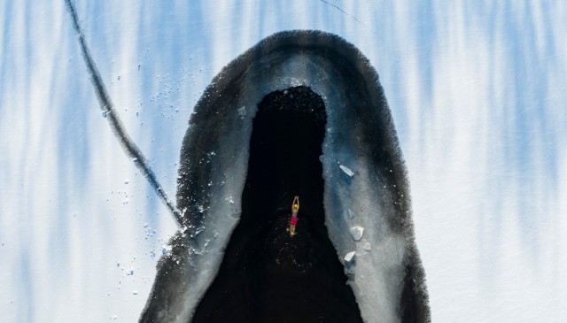 Подборка интересных и веселых картинок