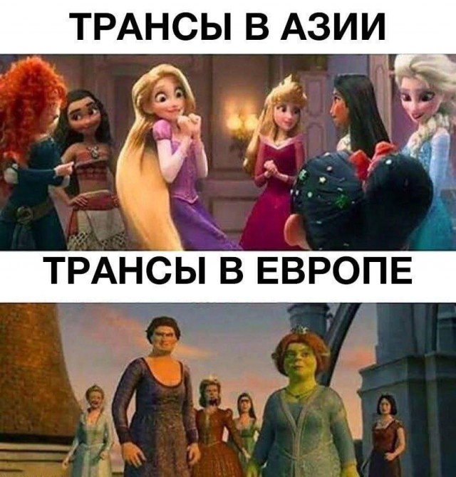 Так себе картинки 12.08.23