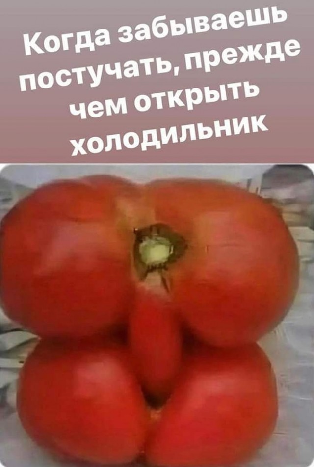 Отряд быстрого деградирования