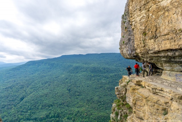 Орлиная полка