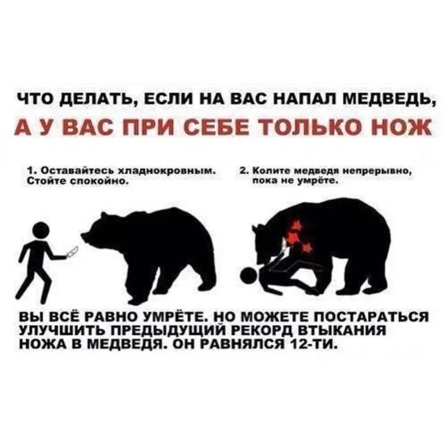Хочешь утром вылезти из палатки, а там... медведь