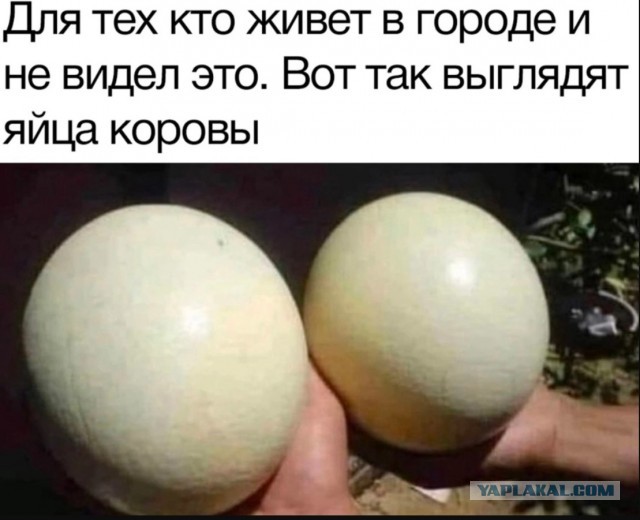 Немного юмора городским от деревенских