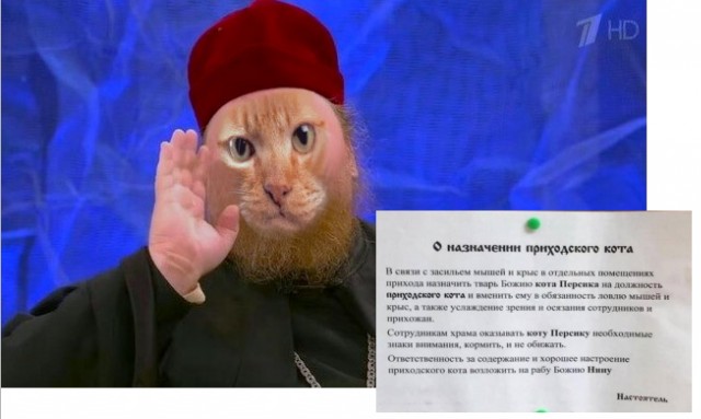 Забавные комментарии из социальных сетей (11.12.23)