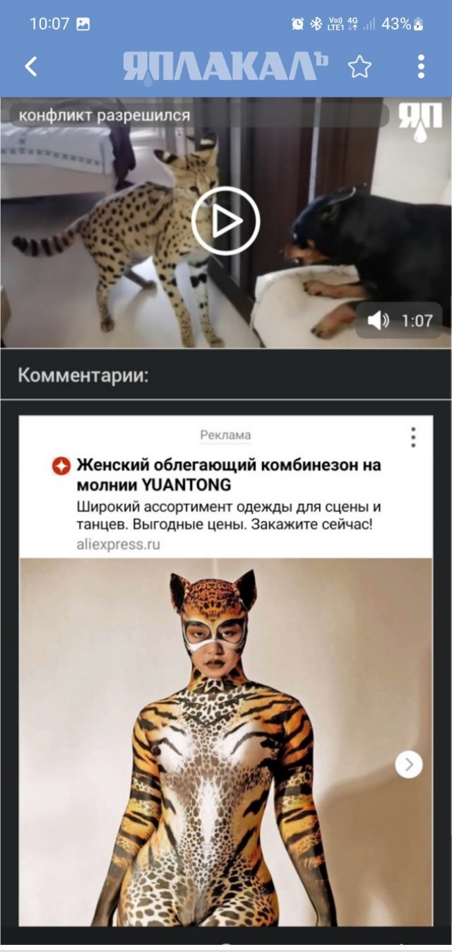 Конфликт разрешился миром