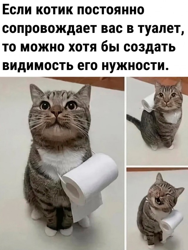 Так себе картинки 20.01.24