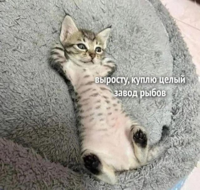 Тлидцать тли от 13 февлаля