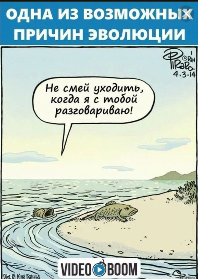 Природа намекает, что зря из воды вылезли