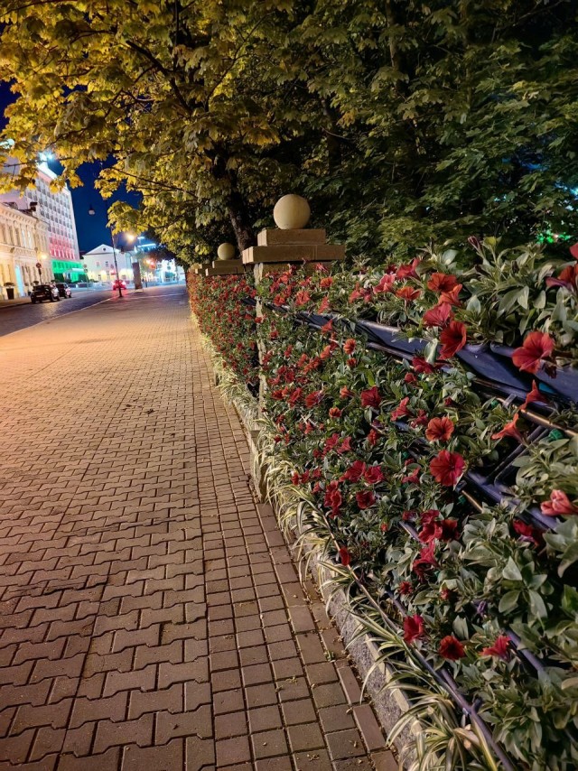 Поездка в Белоруссию