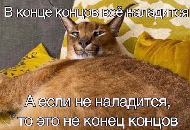 Никакие картинки
