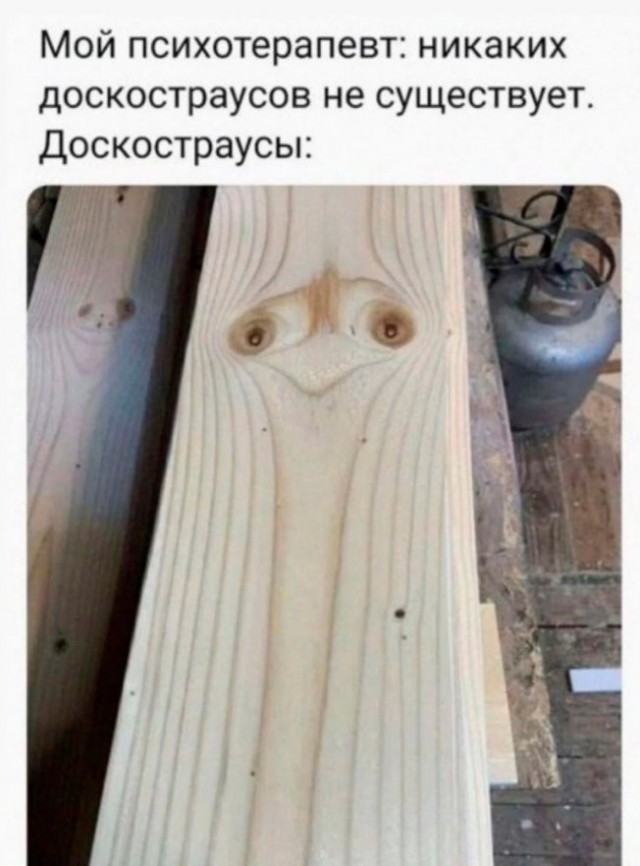 Картинки от Scodero