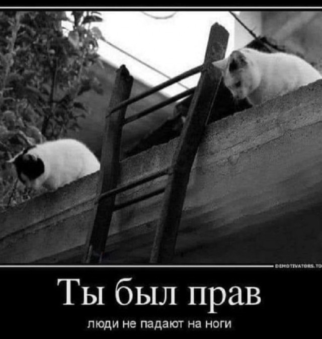 Картинки разные с надписями и без
