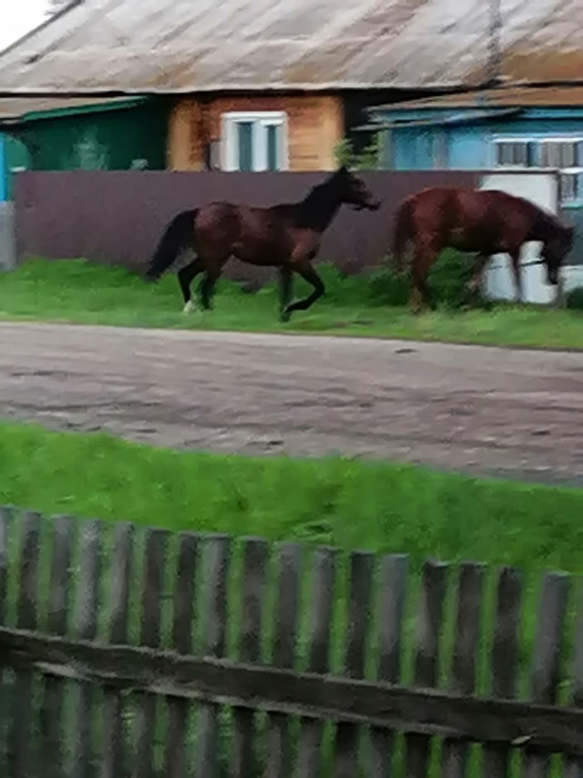 Фото с телефона