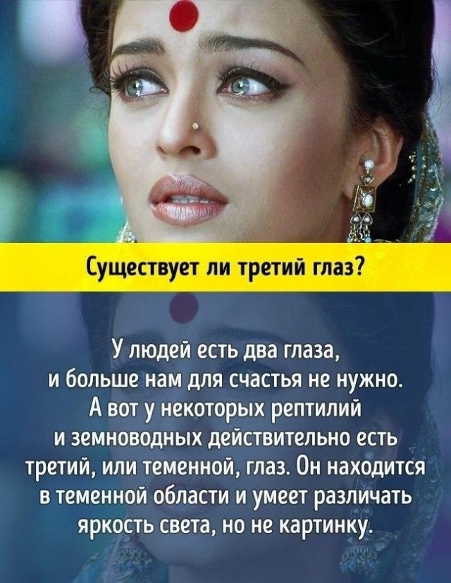 Всячина