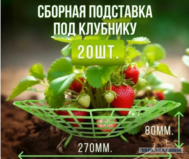 Прикупил
