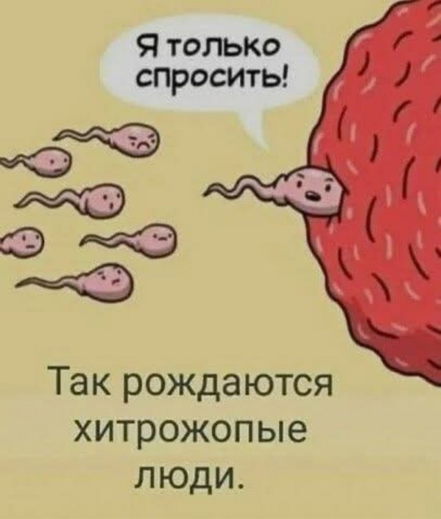 Завалялось тут случайно немного забавных картинок
