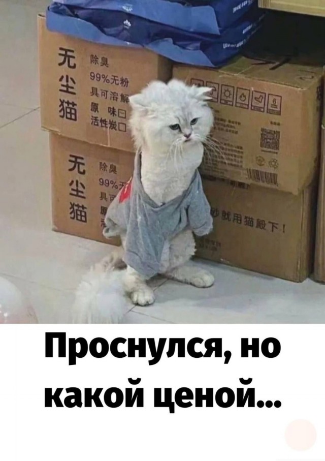 Завалялось тут случайно немного забавных картинок