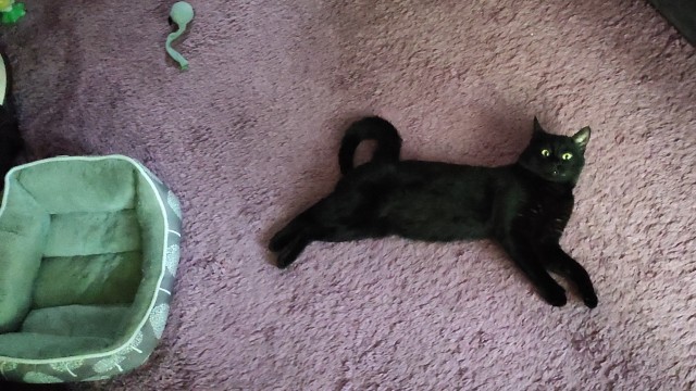 Минус один бродяга