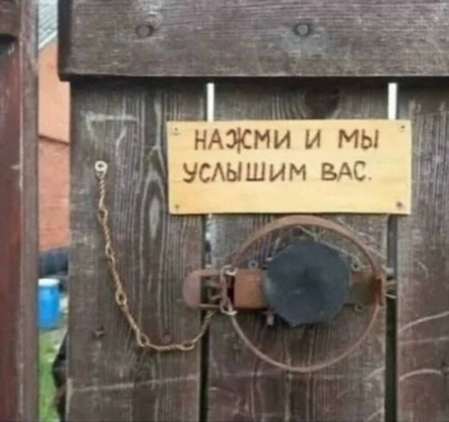 Картинки для деградации 11 (разной степени свежести)