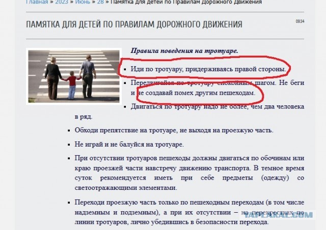 Пошёл вон щенок