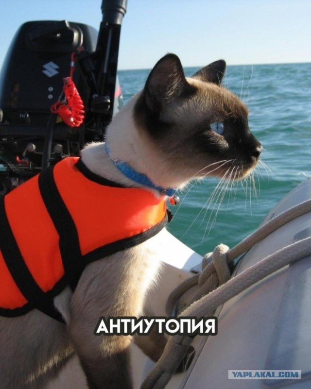Несколько жанров кино