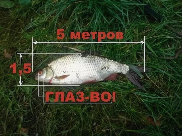 Кракена ждали?