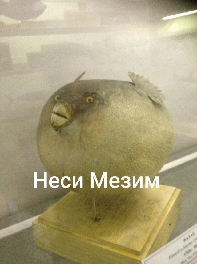 Полезный девайс для банкета
