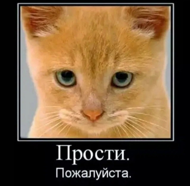 Чем-то напоминает нашу с вами жизнь