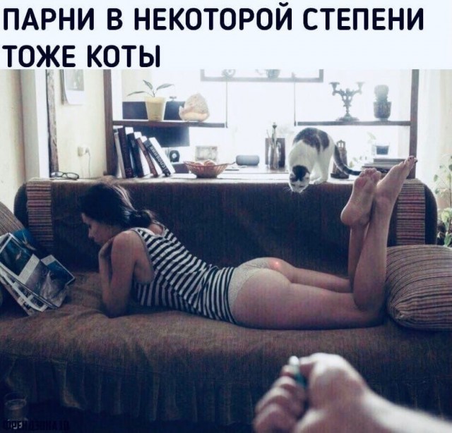 Забавные и не очень скромные картинки-36