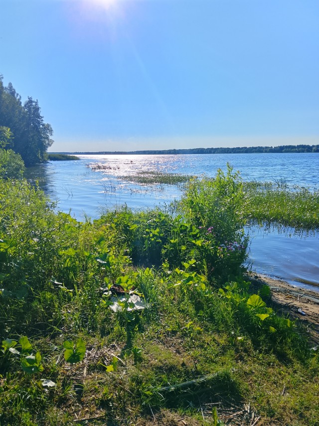 Велопрогулка