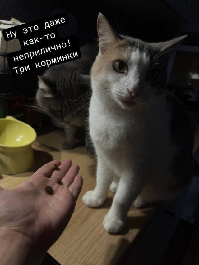 Так себе картинки 18.07.26