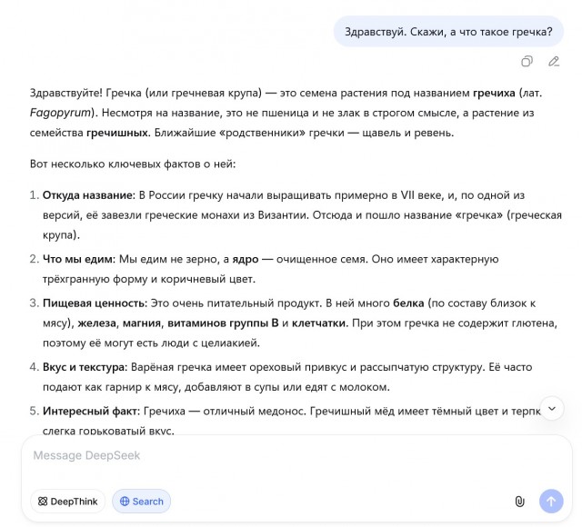 В автобусе пассажирка сфотографировала через плечо незнакомой бабушки её переписку с DeepSeek