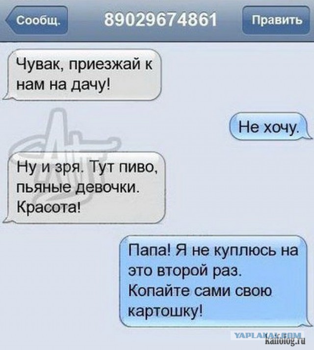 Приколы и маразмы