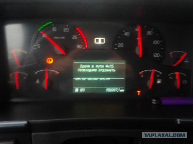 Где яблоки растут!